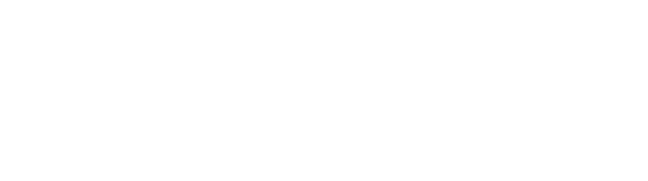 Tamara-Desjardins-white-logo <br />
CIR Tamara Desjardins<br />
logo